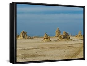 Lac Abbe (Lake Abhe Bad) With Its Chimneys, Republic of Djibouti, Africa-null-Framed Stretched Canvas