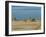 Lac Abbe (Lake Abhe Bad) With Its Chimneys, Republic of Djibouti, Africa-null-Framed Photographic Print