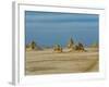 Lac Abbe (Lake Abhe Bad) With Its Chimneys, Republic of Djibouti, Africa-null-Framed Photographic Print