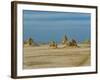 Lac Abbe (Lake Abhe Bad) With Its Chimneys, Republic of Djibouti, Africa-null-Framed Photographic Print