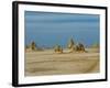 Lac Abbe (Lake Abhe Bad) With Its Chimneys, Republic of Djibouti, Africa-null-Framed Photographic Print