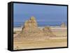 Lac Abbe (Lake Abhe Bad) With Its Chimneys, Republic of Djibouti, Africa-null-Framed Stretched Canvas