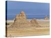 Lac Abbe (Lake Abhe Bad) With Its Chimneys, Republic of Djibouti, Africa-null-Stretched Canvas