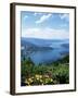 Lac Annecy, Rhone Alpes, France-Ethel Davies-Framed Photographic Print