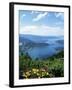 Lac Annecy, Rhone Alpes, France-Ethel Davies-Framed Photographic Print