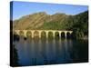 Lac De Villefort and Railway Viaduct, Cevennes, Lozere, Languedoc-Roussillon, France, Europe-David Hughes-Stretched Canvas