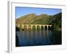 Lac De Villefort and Railway Viaduct, Cevennes, Lozere, Languedoc-Roussillon, France, Europe-David Hughes-Framed Photographic Print