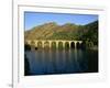 Lac De Villefort and Railway Viaduct, Cevennes, Lozere, Languedoc-Roussillon, France, Europe-David Hughes-Framed Photographic Print