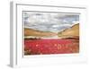 Lac Du Bois Grasslands Park I-Donald Paulson-Framed Giclee Print