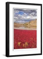 Lac du Bois Grasslands Park II-Donald Paulson-Framed Giclee Print