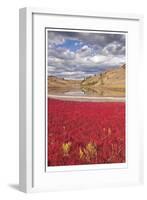 Lac du Bois Grasslands Park II-Donald Paulson-Framed Giclee Print