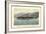 Lac Leman, Bateaux La Suisse, Dent Du Midi, Dampfer-null-Framed Giclee Print