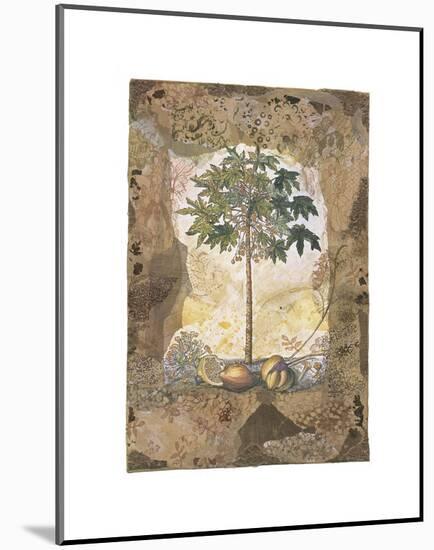 Lace and Papaya-Annabel Hewitt-Mounted Art Print