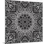 Lace Background: White on Black, Mandala-Katyau-Mounted Art Print