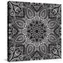 Lace Background: White on Black, Mandala-Katyau-Stretched Canvas