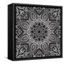 Lace Background: White on Black, Mandala-Katyau-Framed Stretched Canvas