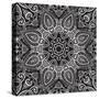 Lace Background: White on Black, Mandala-Katyau-Stretched Canvas