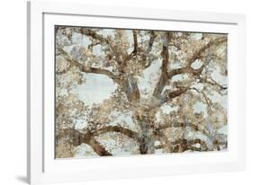 Lace Canopy-Tania Bello-Framed Giclee Print