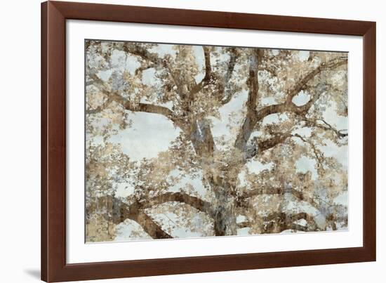 Lace Canopy-Tania Bello-Framed Giclee Print