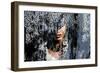 Lace Face-PI Studio-Framed Art Print