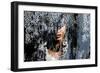 Lace Face-PI Studio-Framed Art Print