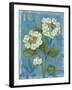 Lace Hydrangea-Pamela Gladding-Framed Art Print