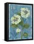 Lace Hydrangea-Pamela Gladding-Framed Stretched Canvas
