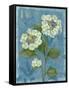 Lace Hydrangea-Pamela Gladding-Framed Stretched Canvas