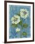 Lace Hydrangea-Pamela Gladding-Framed Art Print