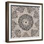 Lace I-Wild Apple Portfolio-Framed Art Print