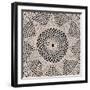 Lace I-Wild Apple Portfolio-Framed Art Print