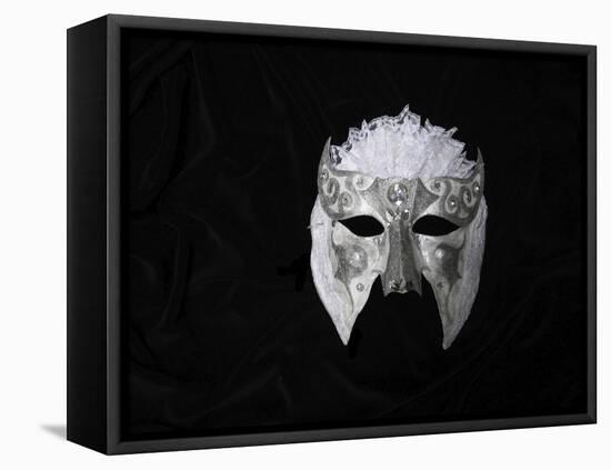 Lace Mask-Patricia Dymer-Framed Stretched Canvas