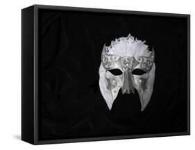 Lace Mask-Patricia Dymer-Framed Stretched Canvas