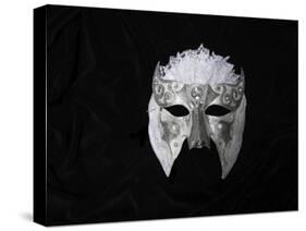 Lace Mask-Patricia Dymer-Stretched Canvas