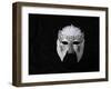 Lace Mask-Patricia Dymer-Framed Giclee Print