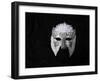 Lace Mask-Patricia Dymer-Framed Giclee Print