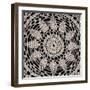 Lace VI-Wild Apple Portfolio-Framed Art Print