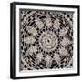 Lace VI-Wild Apple Portfolio-Framed Art Print