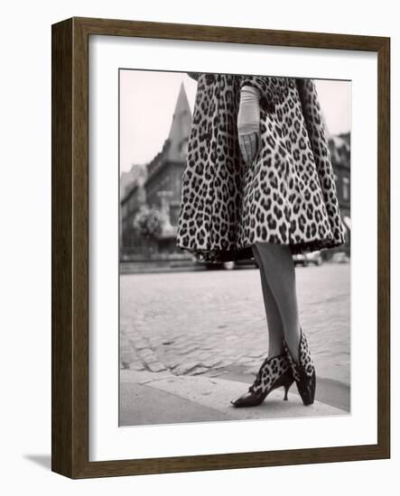 Laced Bootees of Leopard, to Match Coat, Designed by Dior-Paul Schutzer-Framed Photographic Print