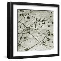 Laced Sky I-Sharon Chandler-Framed Art Print