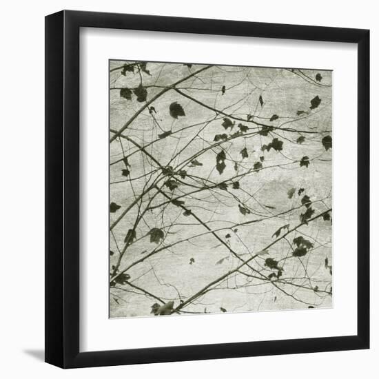 Laced Sky I-Sharon Chandler-Framed Art Print