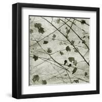 Laced Sky II-Sharon Chandler-Framed Art Print