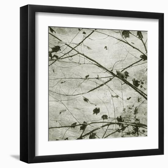 Laced Sky IV-Sharon Chandler-Framed Art Print