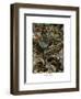 Lacertilia, 1899-1904-null-Framed Giclee Print