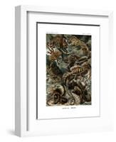 Lacertilia, 1899-1904-null-Framed Giclee Print