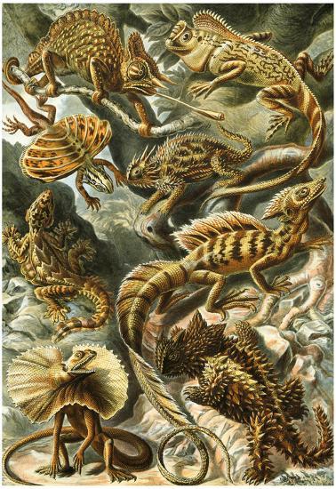 Poster, , large