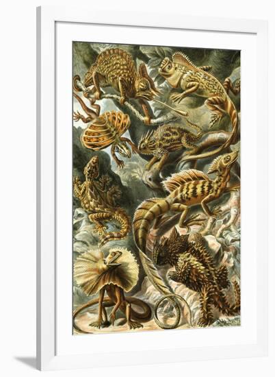 Lacertilia Nature by Ernst Haeckel-null-Framed Art Print