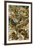 Lacertilia Nature by Ernst Haeckel-null-Framed Art Print