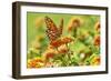 Lacewing Butterfly-Gary Carter-Framed Photographic Print