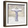 Lacey Sink 2-Diane Stimson-Framed Art Print